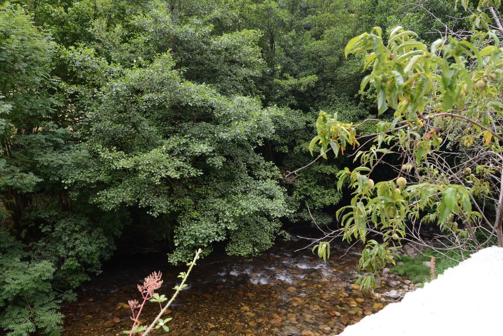 Apartamentos El Rincon De Limes Cangas De Narcea Zimmer foto