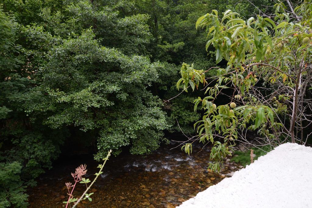 Apartamentos El Rincon De Limes Cangas De Narcea Zimmer foto